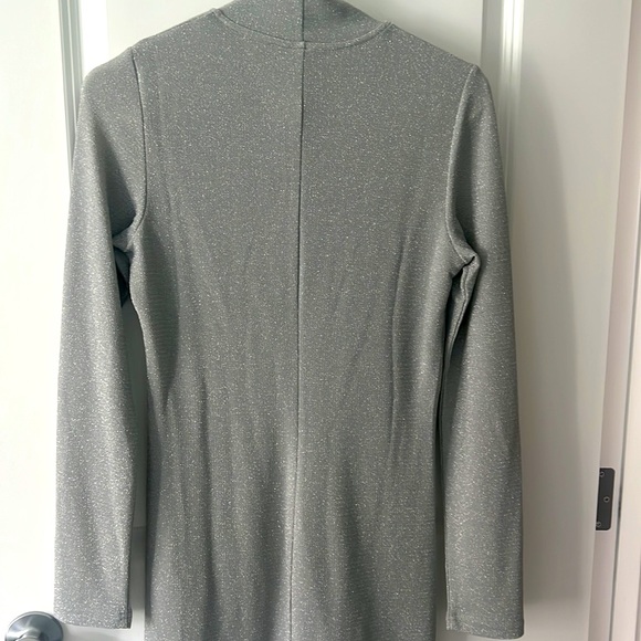 Silver Dress - Picture 5 of 5